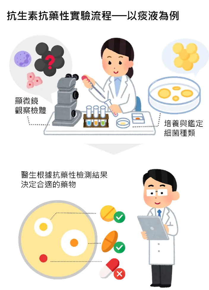 圖二、抗生素抗藥性檢驗檢查流程